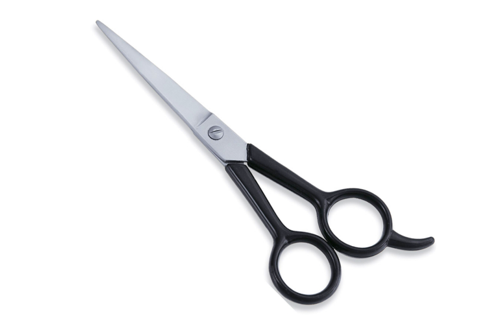 Economy Hair Scissors